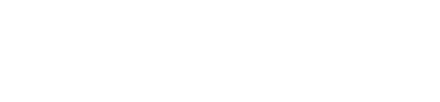Investiga